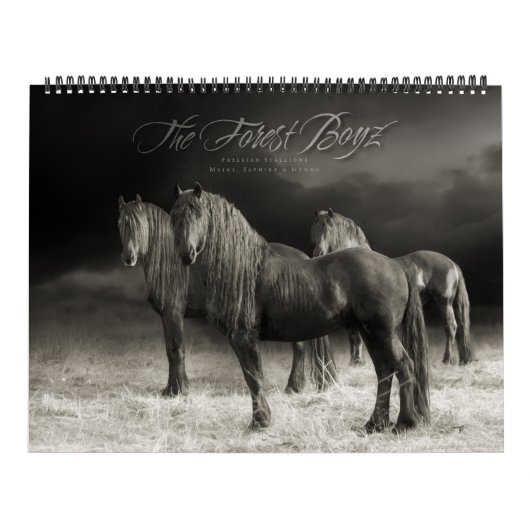 The Forest Boyz - hartverwarmende kalender (Hoes)