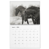 The Forest Boyz - Heavenly Homeland Calendar Kalender (Mar 2026)