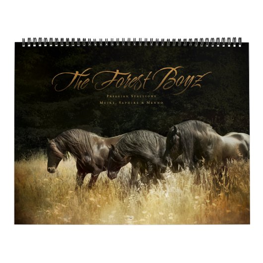 The Forest Boyz - Heavenly Homeland Calendar Kalender (Hoes)