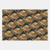 The Four Elements: Earth - Giuseppe Arcimboldo Inpakpapier Vel (Voorkant 3)