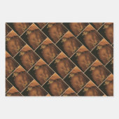 The Four Elements: Earth - Giuseppe Arcimboldo Inpakpapier Vel (Voorkant 2)