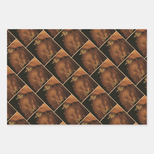 The Four Elements: Earth - Giuseppe Arcimboldo Inpakpapier Vel (Voorkant 2)