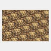 The Four Elements: Earth - Giuseppe Arcimboldo Inpakpapier Vel (Voorkant)