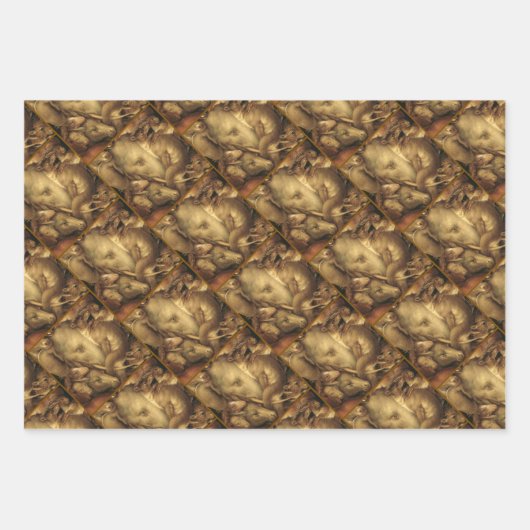 The Four Elements: Earth - Giuseppe Arcimboldo Inpakpapier Vel (Voorkant)