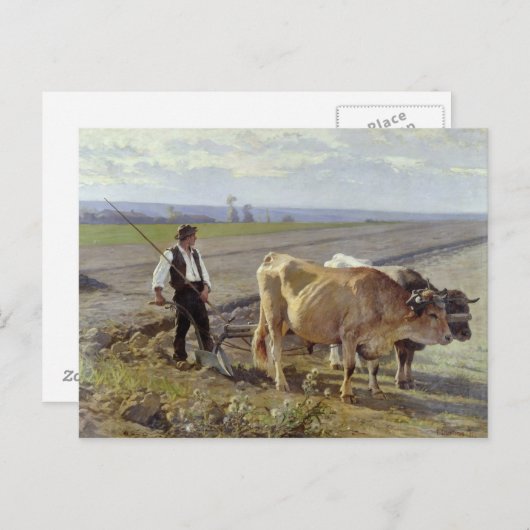 The Furrow, 1897 Briefkaart (Voorkant / Achterkant)