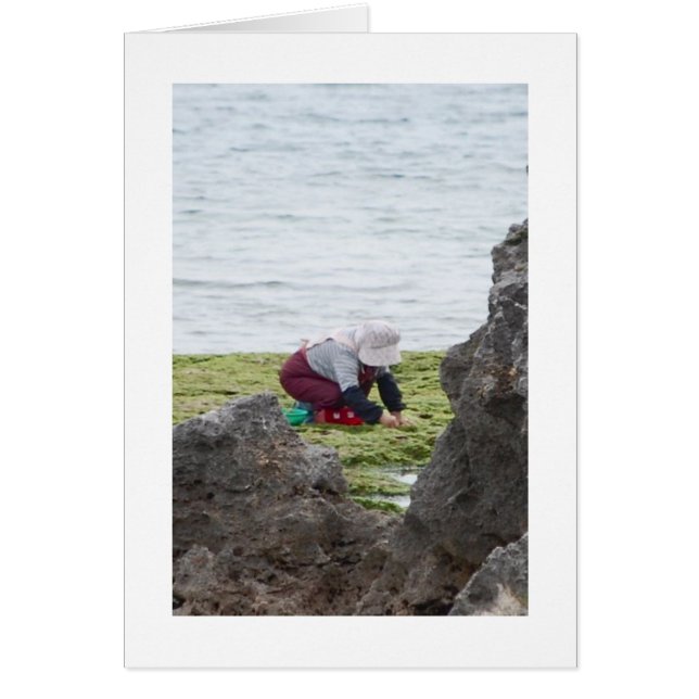 The Gatherer (Voorkant)