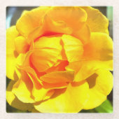 The Glorious Yellow Rose, Glass Coaster Glazen Onderzetter (Voorkant)