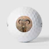 The Goat Golf Balls - Voeg je Afbeelding toe Golfballen (Voorkant)