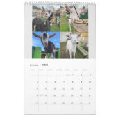 The_Goats_that_Cud 2021 Agenda Kalender (Jan 2026)