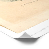 The Gold Seeker (0638A) Poster (Hoek)