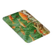 The Golden Touch 2011 Magneet (Rechterzijde)