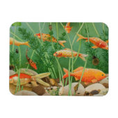 The Golden Touch 2011 Magneet (Horizontaal)