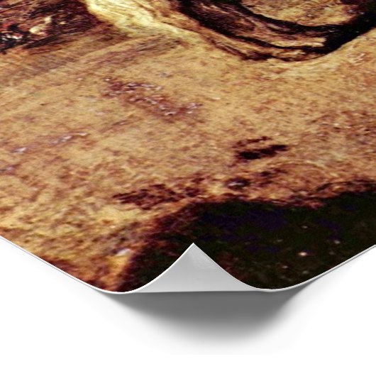 The Good Samaritan by Rembrandt van Rijn Poster (Hoek)