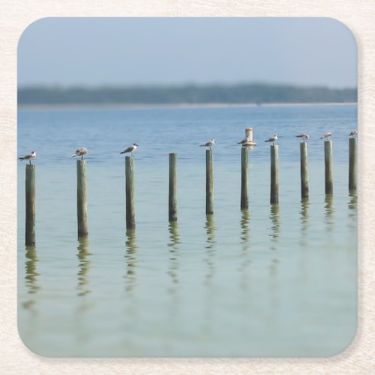 "The Gossip Line" - Kustzeegarakalen - Onderzetter (Voorkant)