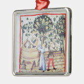 The Grape Harvest, 13e eeuw Metalen Ornament (Links)