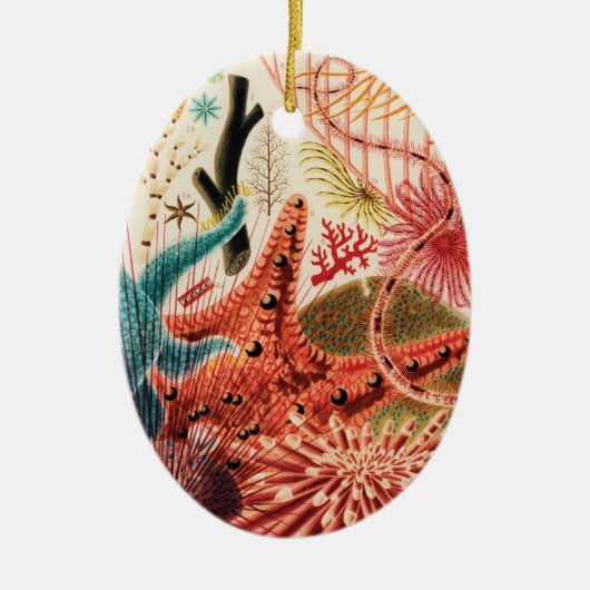 The Great Barrier Reef Australia Keramisch Ornament (Voorkant)