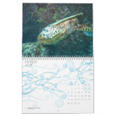 The Great Barrier Reef, Australië Kalender (Mar 2027)