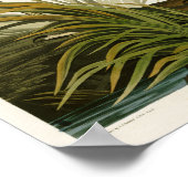 The Great Blue Heron John Audubon Birds of America Poster (Hoek)