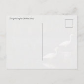 The great egret (Ardea alba) birds Briefkaart (Achterkant)