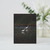 The great egret (Ardea alba) birds Briefkaart (Staand voorkant)