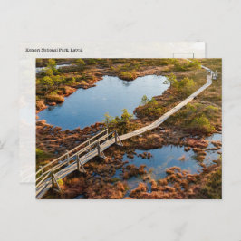 The Great Kemeri Bog Boardwalk, Latvia Briefkaart