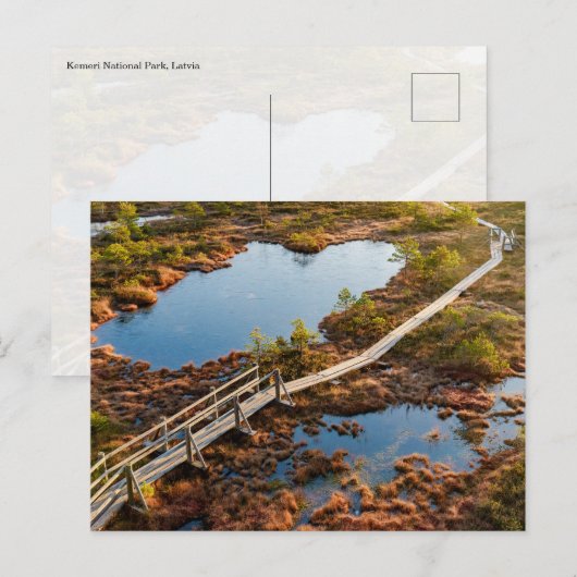 The Great Kemeri Bog Boardwalk, Latvia Briefkaart (Voorkant / Achterkant)