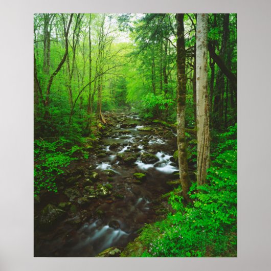 The Great Smoky Mountains Poster (Voorkant)