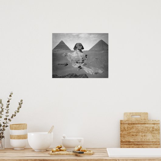 The Great Sphinx & Pyramids, 1878.  foto Poster (Keuken)