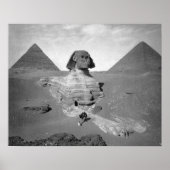 The Great Sphinx & Pyramids, 1878.  foto Poster (Voorkant)