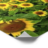 The_Greatness_of_Natuur_5 Poster (Hoek)