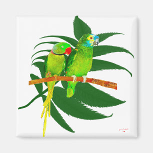 The Green Parrots Gifts Magneet