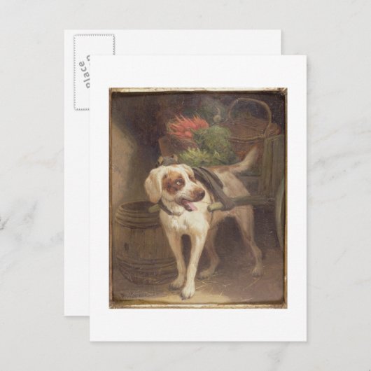 The Grocer's Dog (olie op het paneel) Briefkaart (Voorkant / Achterkant)