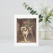 The Grocer's Dog (olie op het paneel) Briefkaart (Staand voorkant)