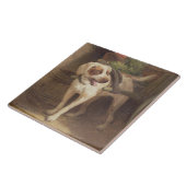 The Grocer's Dog (olie op het paneel) Tegeltje (Zijkant)