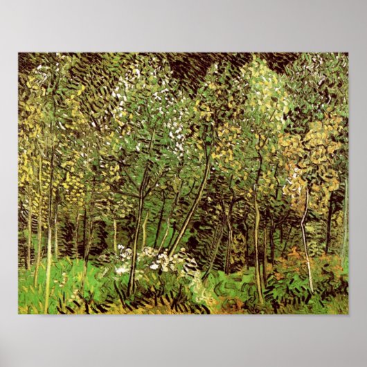 The Grove (F817) Van Gogh Fine Art Poster (Voorkant)