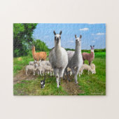 "The Guard Llamas" Legpuzzel (Horizontaal)
