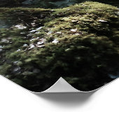 The Guardian Poster (Hoek)