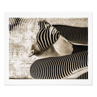 The Guardian (Sepia) Foto Afdruk