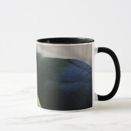 THE GUINEA TURACO KOFFIEBEEKER MOK