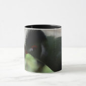 THE GUINEA TURACO KOFFIEBEEKER MOK (Midden)