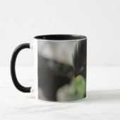 THE GUINEA TURACO KOFFIEBEEKER MOK (Links)