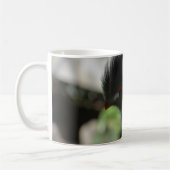 THE GUINEA TURACO KOFFIEBEEKER MOK (Links)