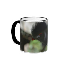 THE GUINEA TURACO KOFFIEBEEKER