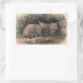 The Hairy-Nosed Wombat by Joseph Wolf Rechthoekige Sticker (Tas)