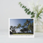 The hammock at the Plantation Manager's House Briefkaart (Staand voorkant)