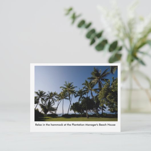 The hammock at the Plantation Manager's House Briefkaart (Staand voorkant)