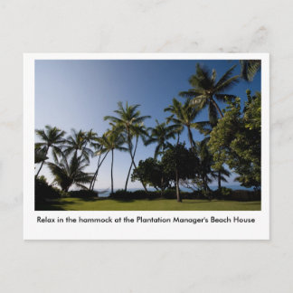 The hammock at the Plantation Manager's House Briefkaart