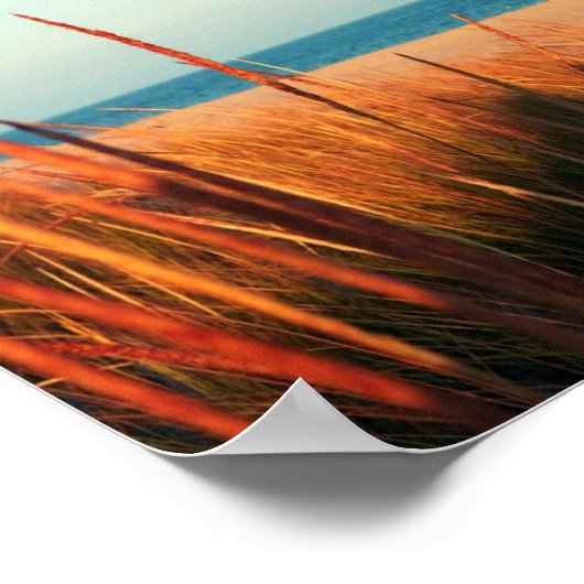 The Hampton Beach Long Island New York Poster (Hoek)