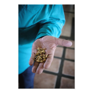 The Hand That Guides Foto Afdruk