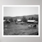 The Haylie Ranch, Crook County, Wyoming, c.1890 (b Poster (Voorkant)